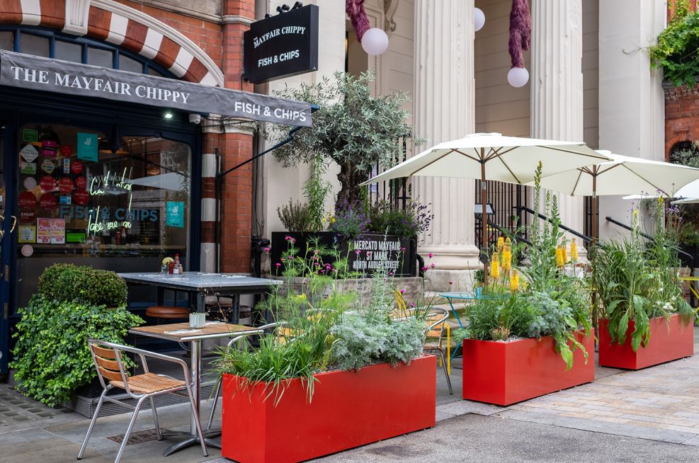 North Audley street planters