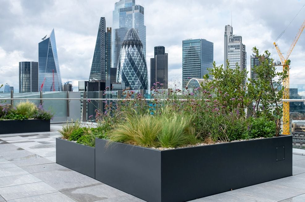 Roof terrace planters in London