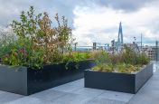 Rooftop planters for offices