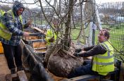 Sectional metal tree planters