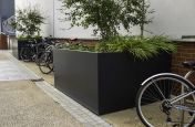 Large rectangular planters for shrubs