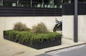 large steel shrub planters