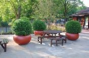 Boulevard Planters Concieved By Willmott Whyte