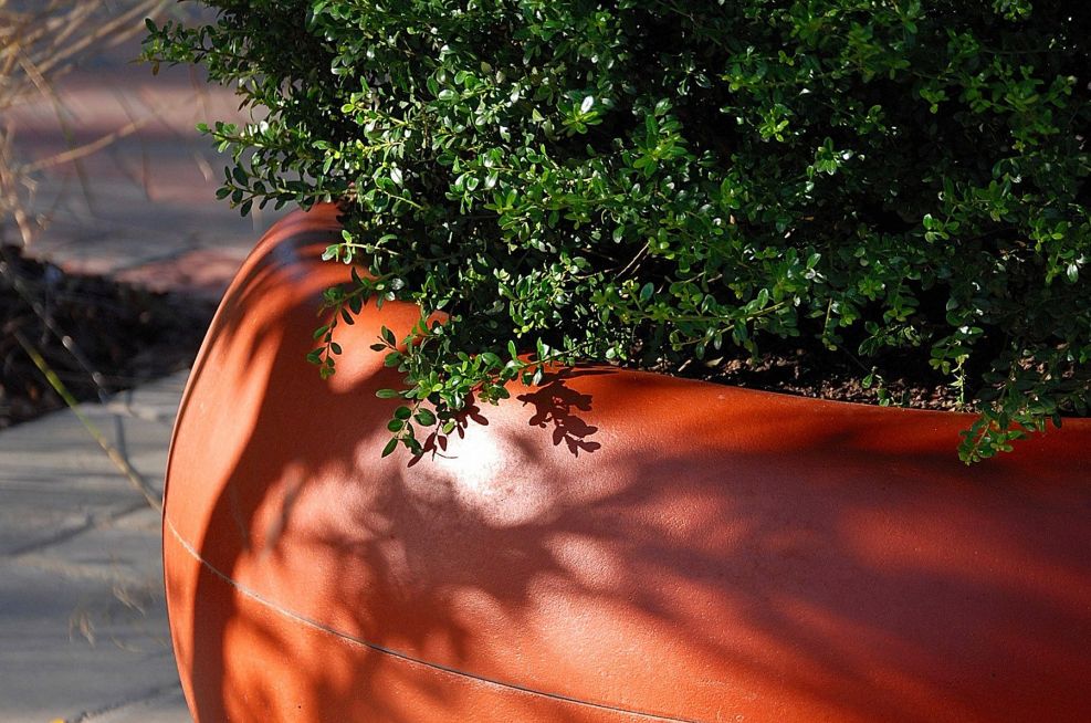 Close Up of Aladin Fibre Reinforced Cement Boulevard Planters