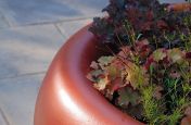 Pearl Copper Fibre Reinforced Cement Planters