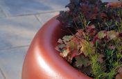 Pearl Copper Fibre Reinforced Cement Planters