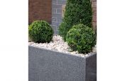 Close Up Showing The Natural Stone and Granite Grain