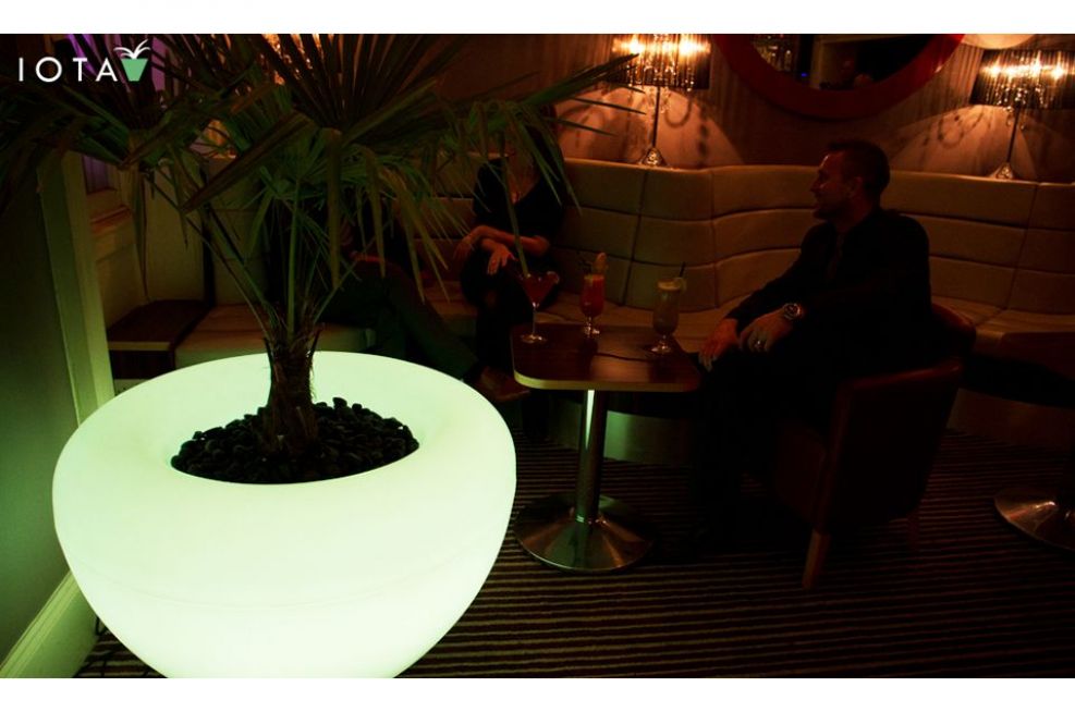 Illuminated Planters At Private Cocktail Bar And Venue, Bristol