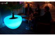 Multicolour Illuminated Planters At Attix Cocktail Bar And Venue, Bristol