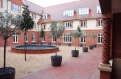 Boulevard Tree Planters In The Courtyard