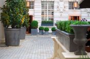 Lead Clad Steel Planters In Rosewood London