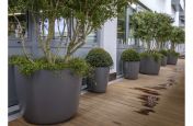 Composite Tree and Shrub Planters