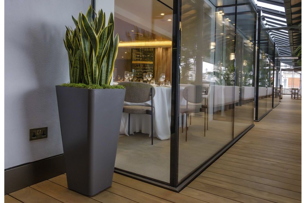 Composite Planters for Commercial Spaces