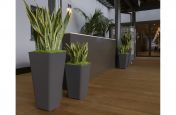 Lightweight Planters for Reception Desk