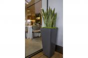 Commercial Planters for Corner Spaces
