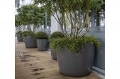 Outdoor Terrace Tree Planters