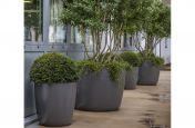 Terrace Planting Scheme