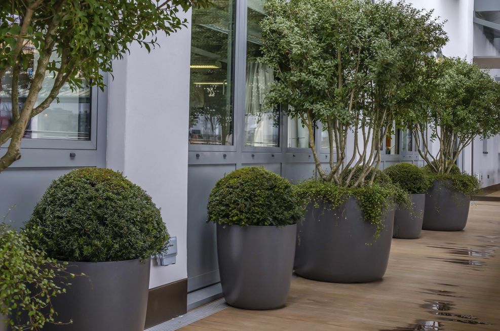 Durable FRC Planters for Trees