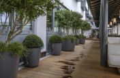 Commercial Tree Plant Pots