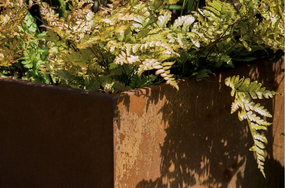 ROYAL BOTANIC GARDEN EDINBURGH Bespoke Corten Steel Planters