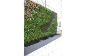 Custom Granite Planters Integrated Within Green Wall System