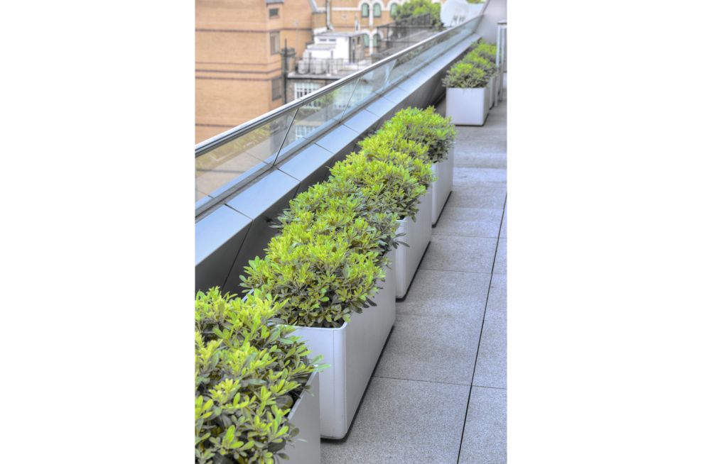 Savills Global Headquarters Large Custom Coloured Planters for