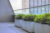 Powder Coated Trough Planters On Terrace