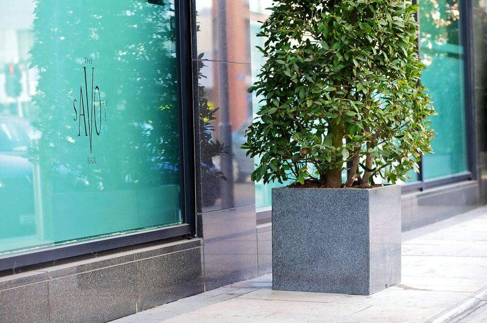 The Savoy Hotel Limerick, Eire Custom Planters and Plant Containers