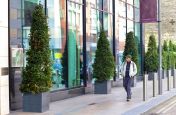 Granite Cube Planters At The Savoy Hotel Limerick, Eire