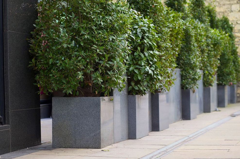 The Savoy Hotel Limerick, Eire Custom Planters and Plant Containers for Hotels