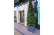 Square Natural Stone Planter Outside Front Entrance