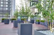 Bespoke Powder Coated Anthracite Grey Tree Planters