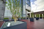 Bespoke Powder Coated Steel Planters Birmingham