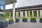 Natural Steel Trough Planters