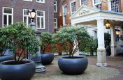 Aladin Large Boulevard Fibre Reinforced Cement Planters