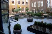 Overlooking The  Aladin Planters In The Courtyard