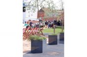 Granite Cube Planters Used As Tree Planters