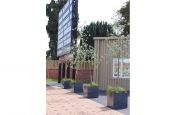 Granite Natural Stone Planters In A Row