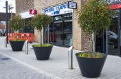 Flared conical planters for public streets