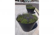 Steel flared planters with rimless finish