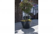 Tree planters for the public realm