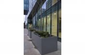 Bespoke Steel Planters for Public Spaces