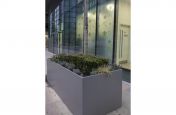 Commercial Trough Planters