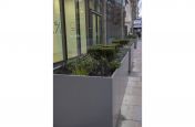 Large Rectangular Planters for Offices