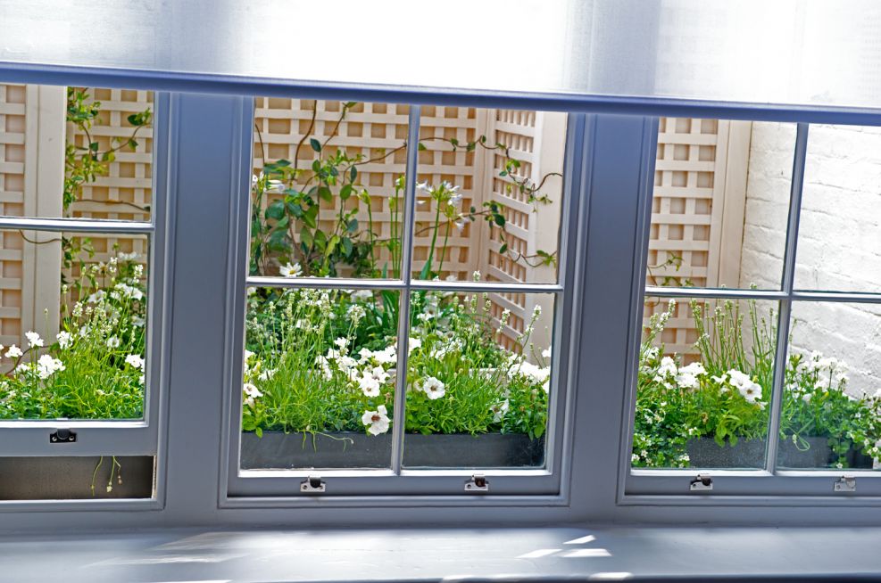 Basement Light Well With Windowbox Planters