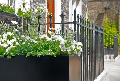 Bespoke Powder Coated Steel Planters in St. Katharine