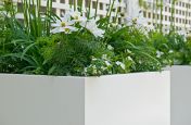 Powder Coated RAL 9010 Pure White Planters