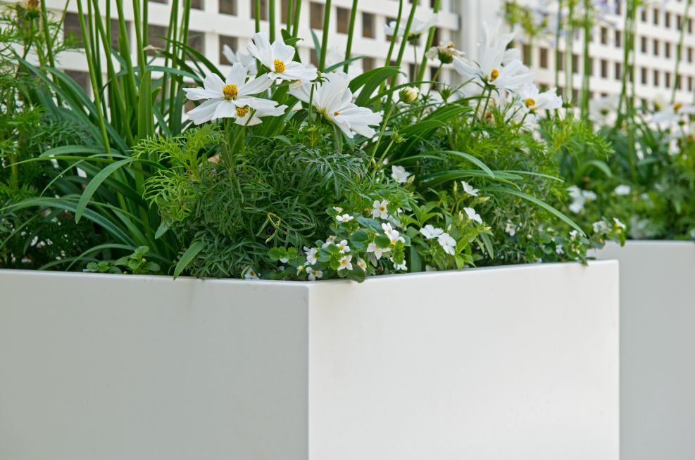 Powder Coated RAL 9010 Pure White Planters