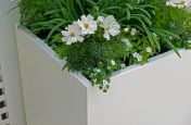 Pure White Powder Coated Planters