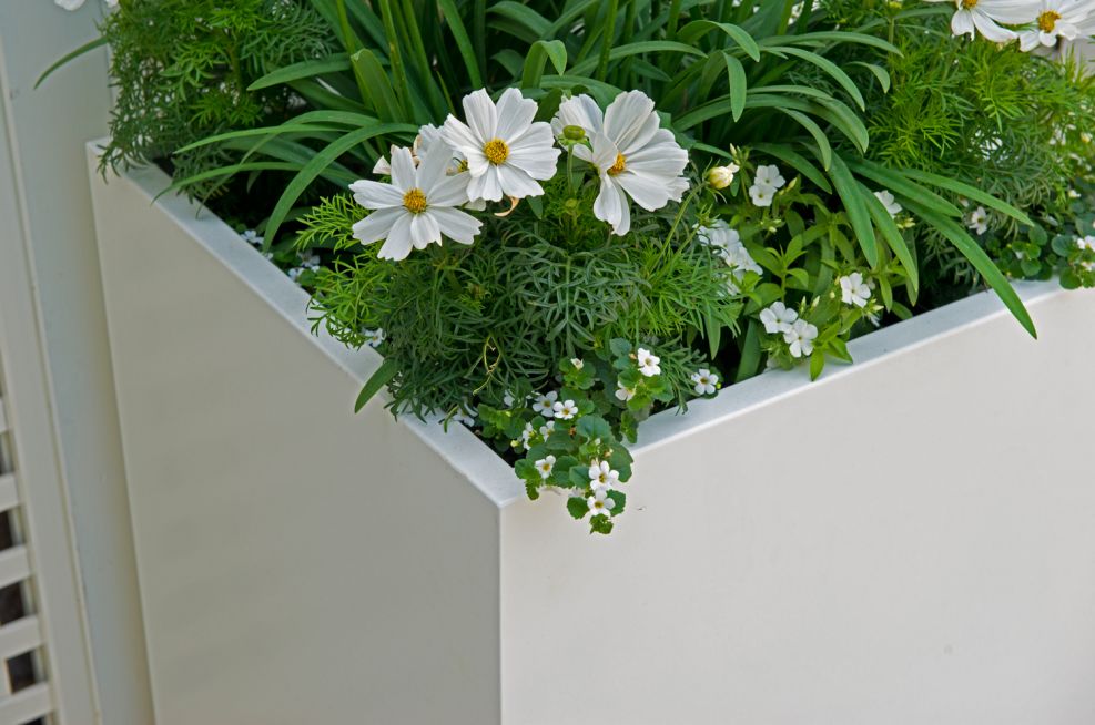 Pure White Powder Coated Planters